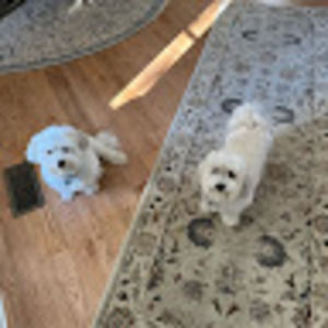 Meet your Posher, Diane